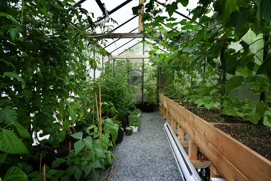 The Ultimate Guide to Greenhouse Gardening: What to Grow and When