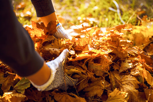 10 Autumn Gardening Tips: Preparing Your Garden for a Beautiful Spring