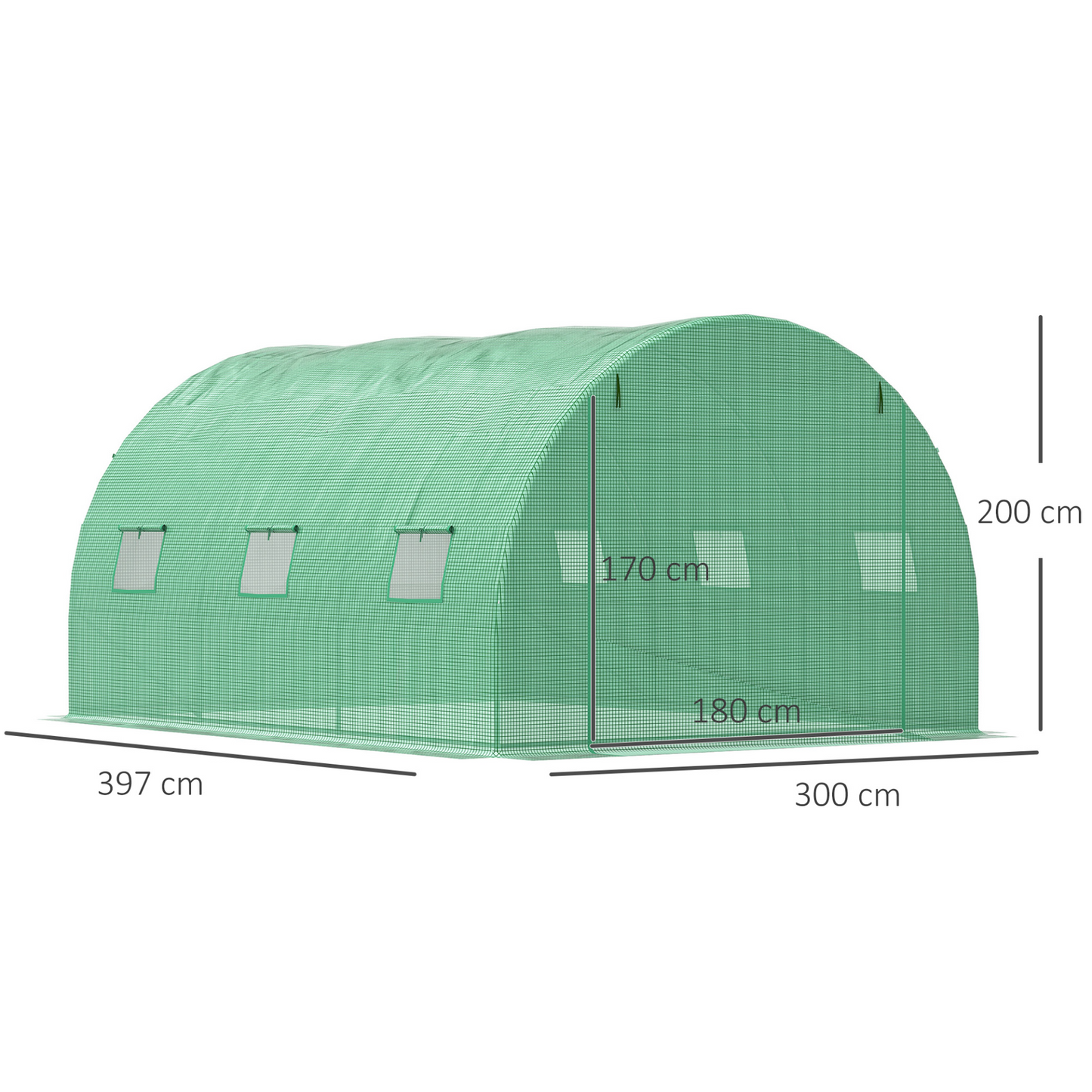 Walk in Polytunnel Greenhouse with Windows and Doors (4 x 3M)