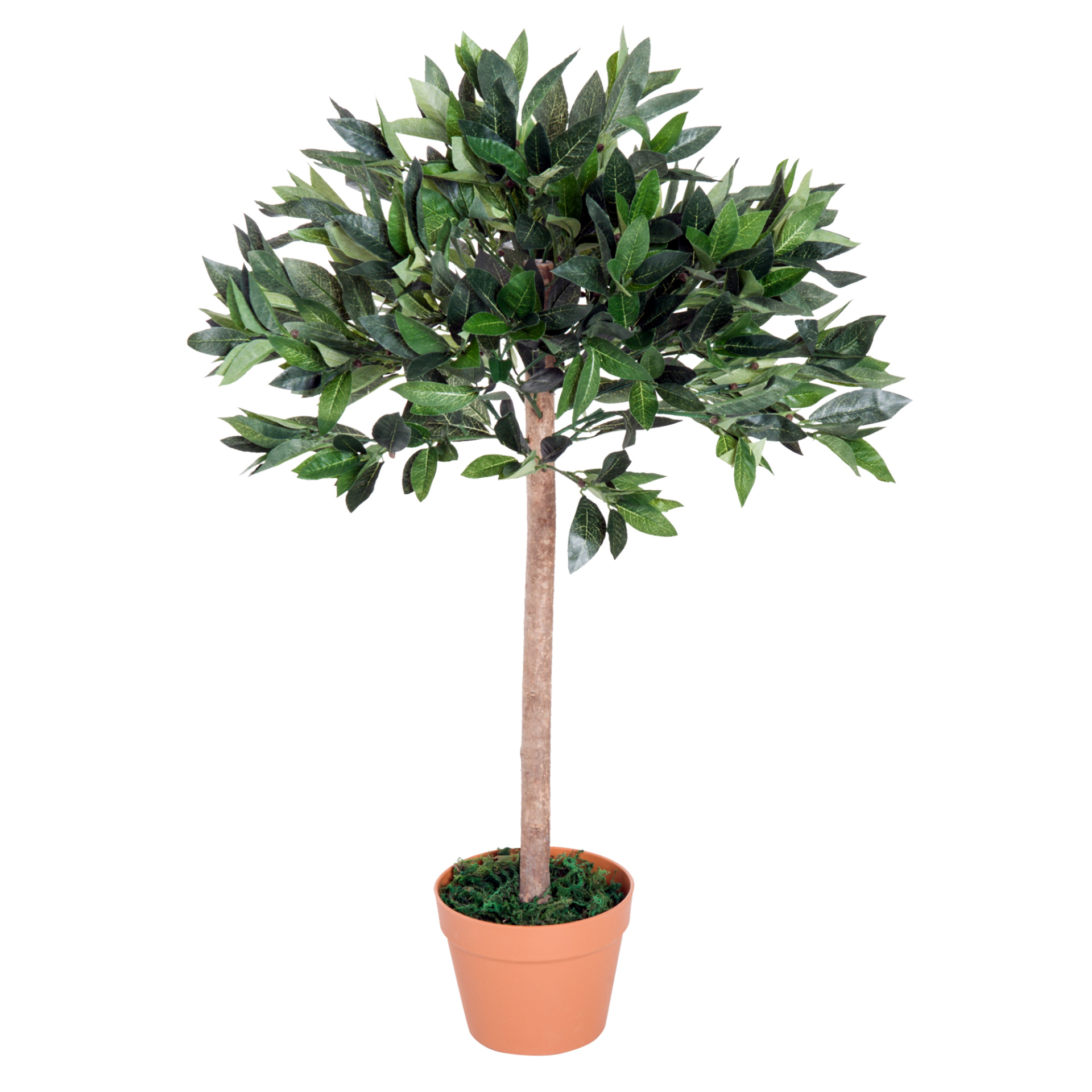 3ft Artificial Olive Tree and Orange Pot