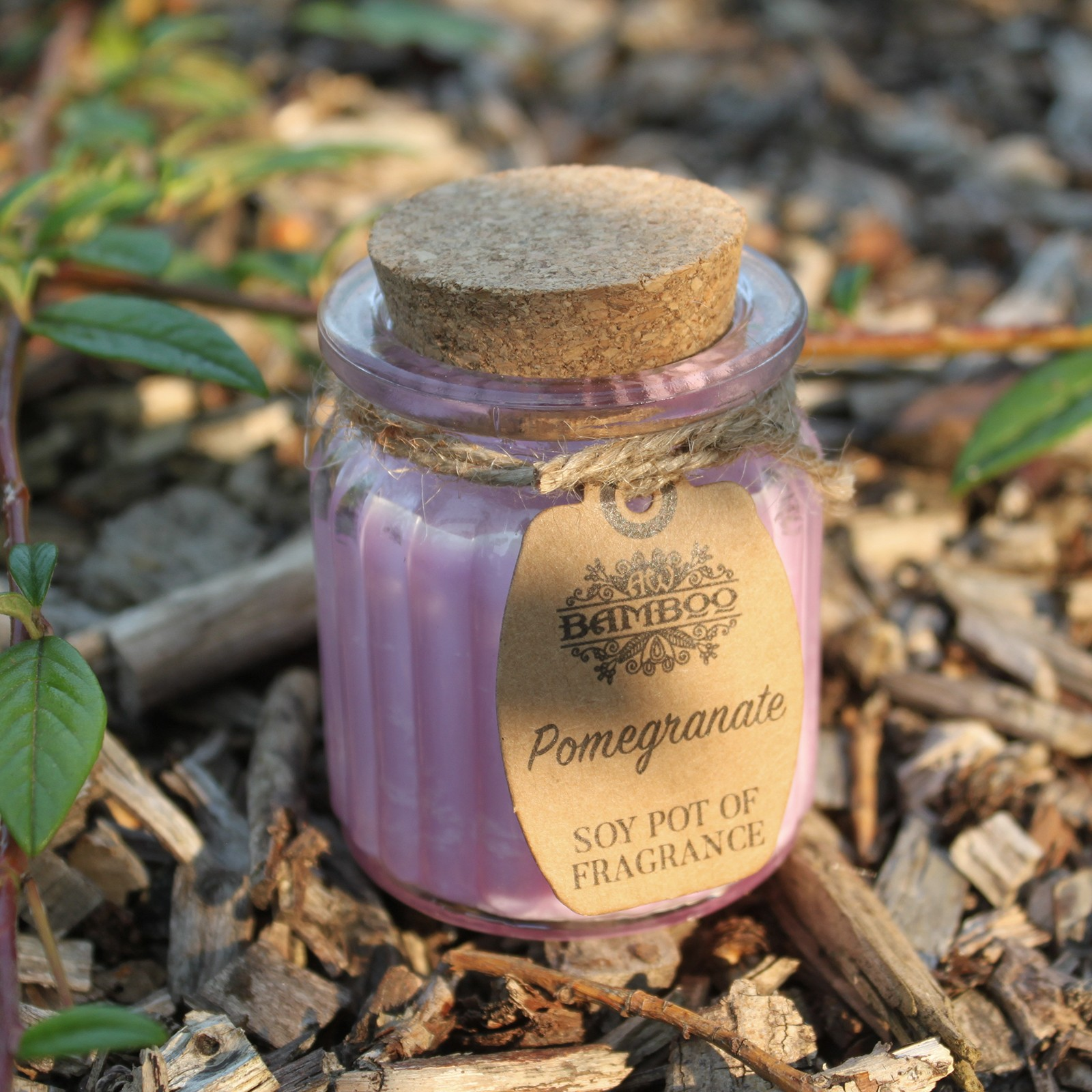 Pomegranate Soy Pot of Fragrance Candles