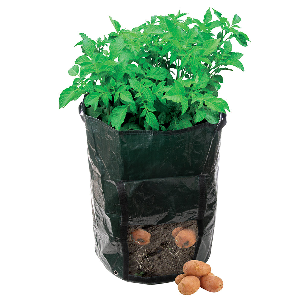 Potato Planting garden Bag