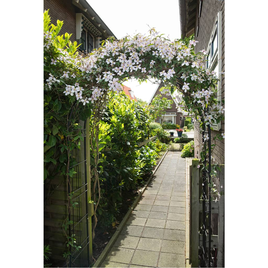 Nature Garden Metal Arch