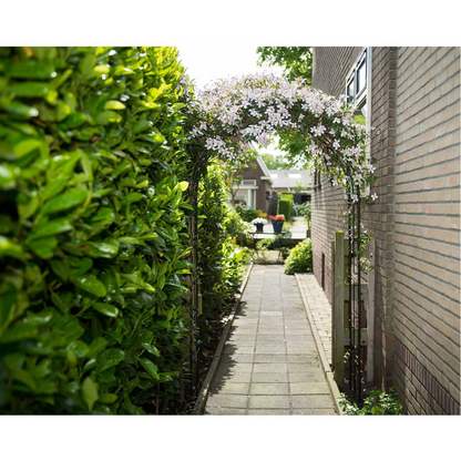 Nature Garden Metal Arch