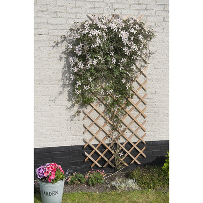 Nature Garden Trellis Wood Natural