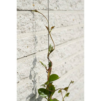 Nature Wire Trellis Set for Climbing Plants