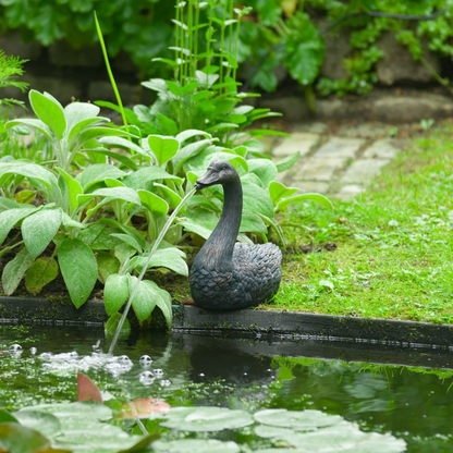 Floating Spitter Garden Fountain Swan