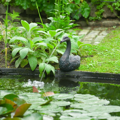 Floating Spitter Garden Fountain Swan