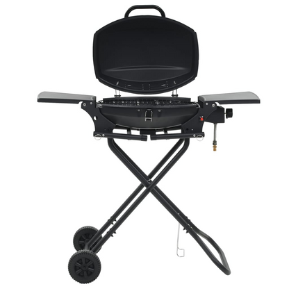 Gas BBQ Grill with Cooking Zone