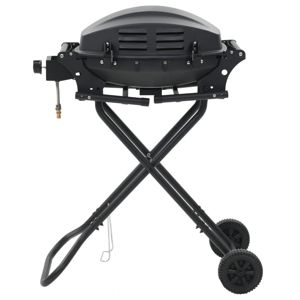 Gas BBQ Grill with Cooking Zone