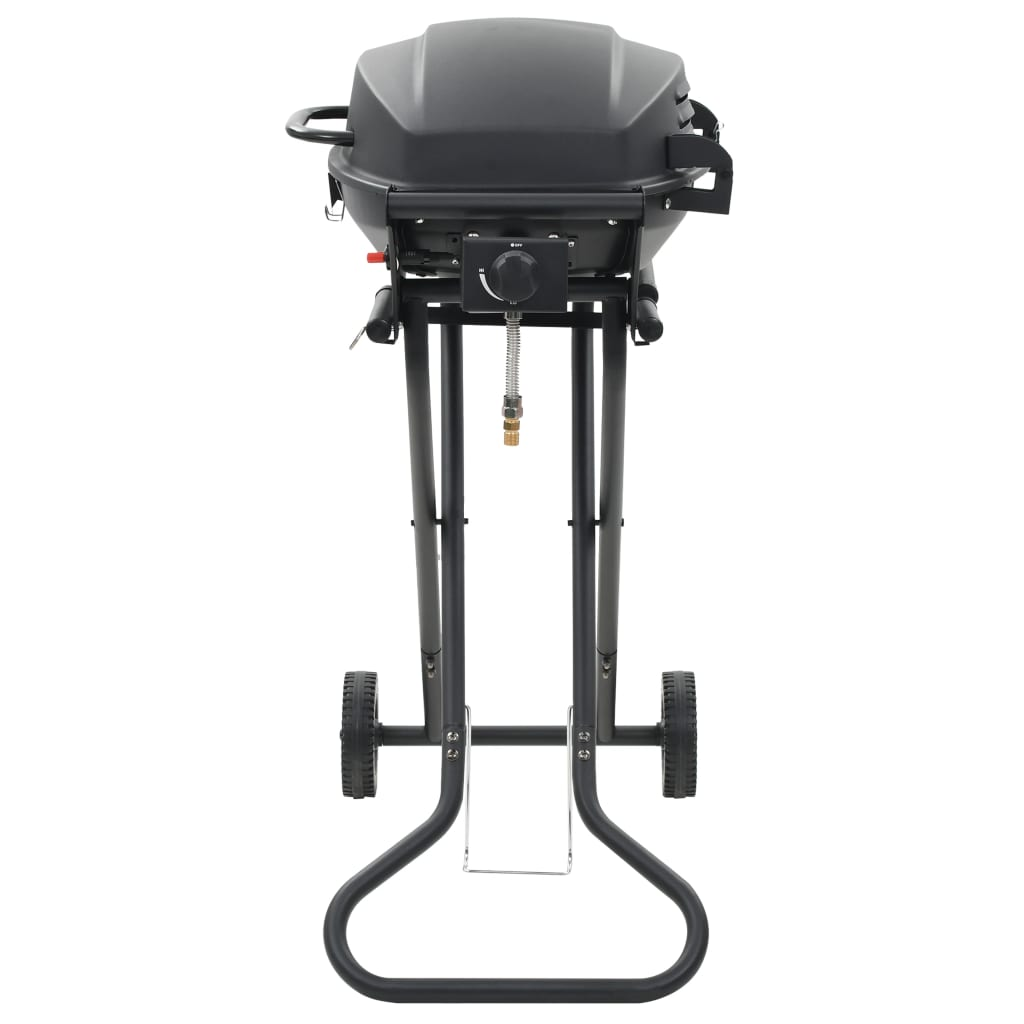 Gas BBQ Grill with Cooking Zone