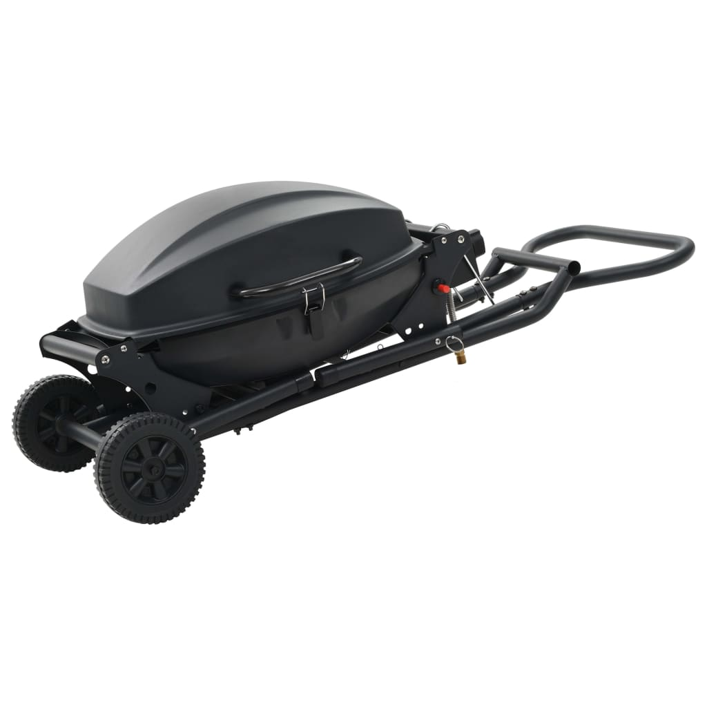 Gas BBQ Grill with Cooking Zone