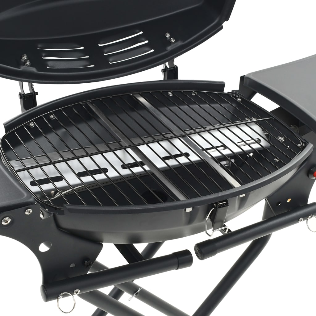 Gas BBQ Grill with Cooking Zone