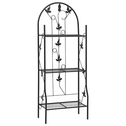 3-Layer Black Plant Rack