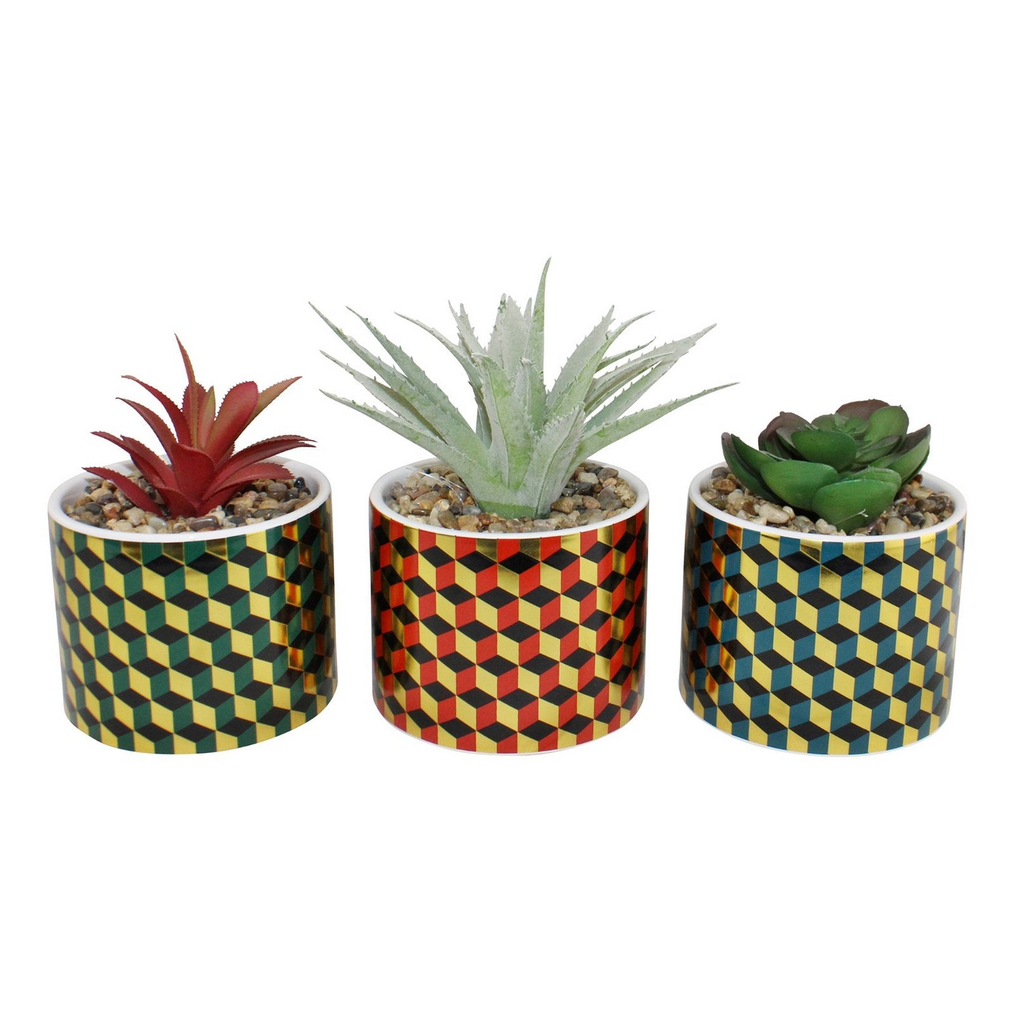 Set of 3 Succulents In Ceramic Pots