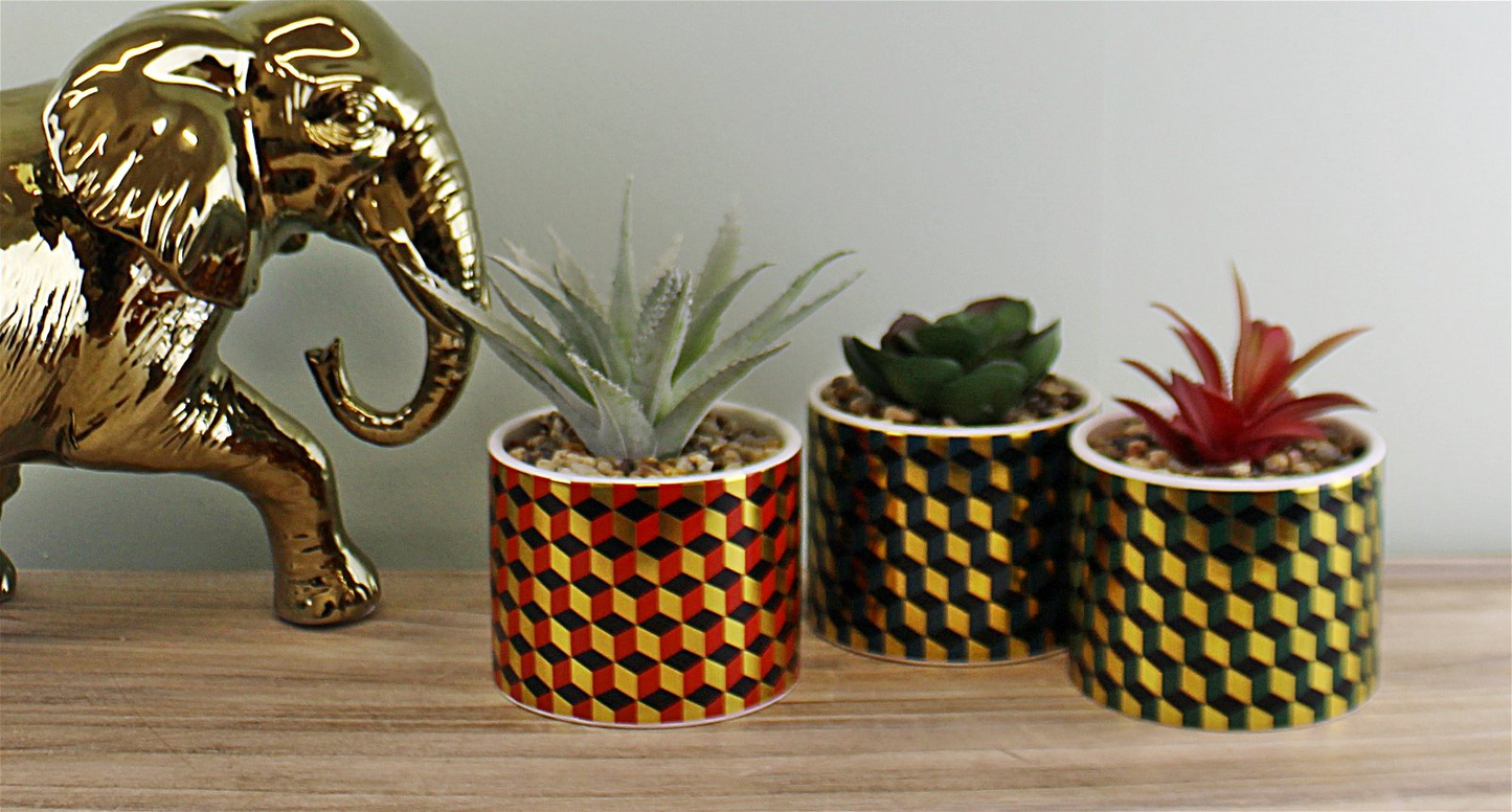 Set of 3 Succulents In Ceramic Pots