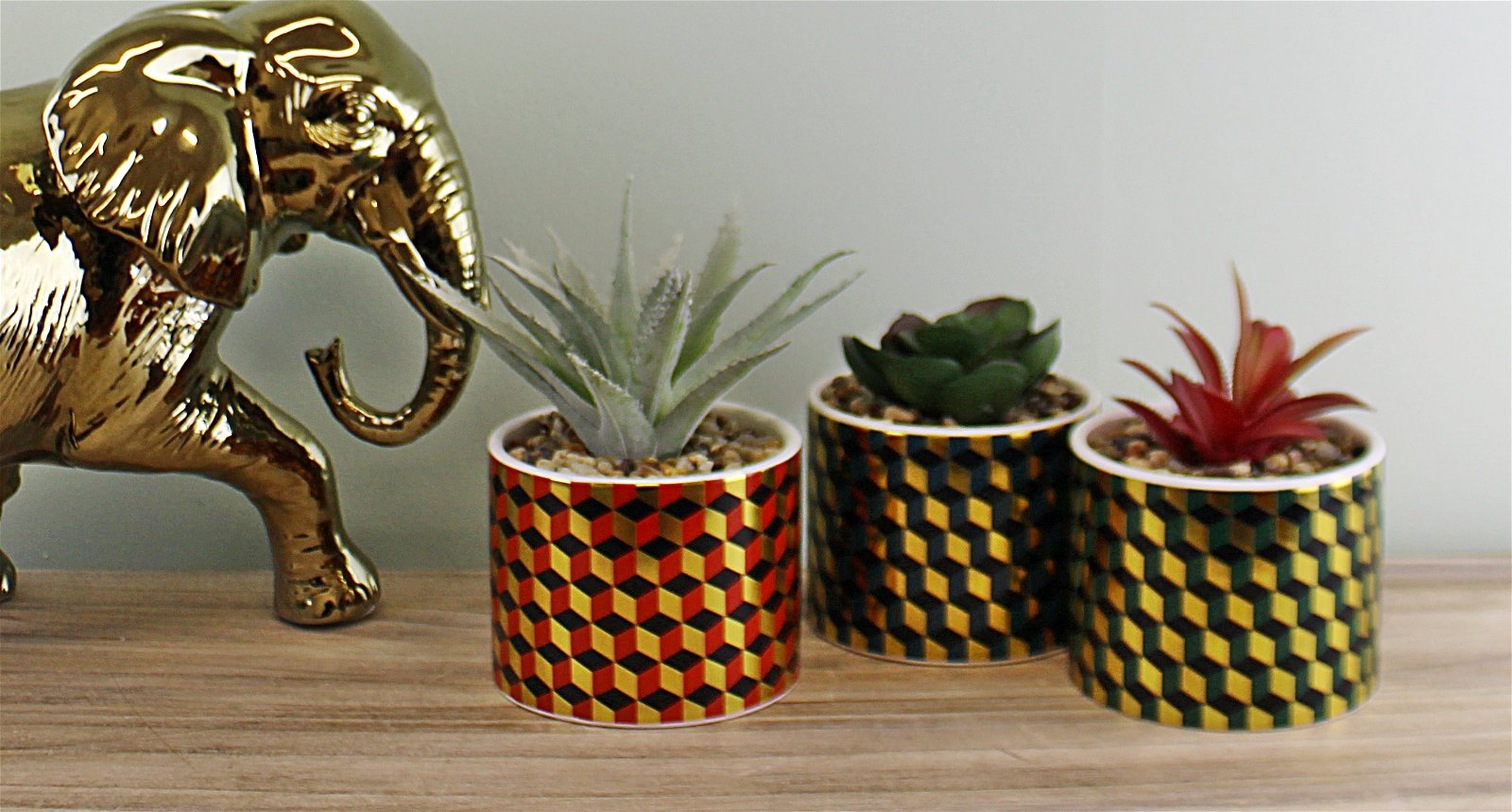 Set of 3 Succulents In Ceramic Pots