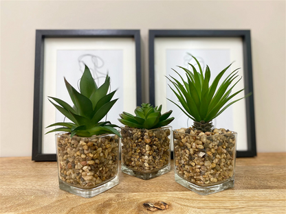 Set Of Three Faux Succulents In Glass Pots