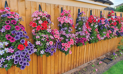 Plant Hanging Grow Tube for the garden