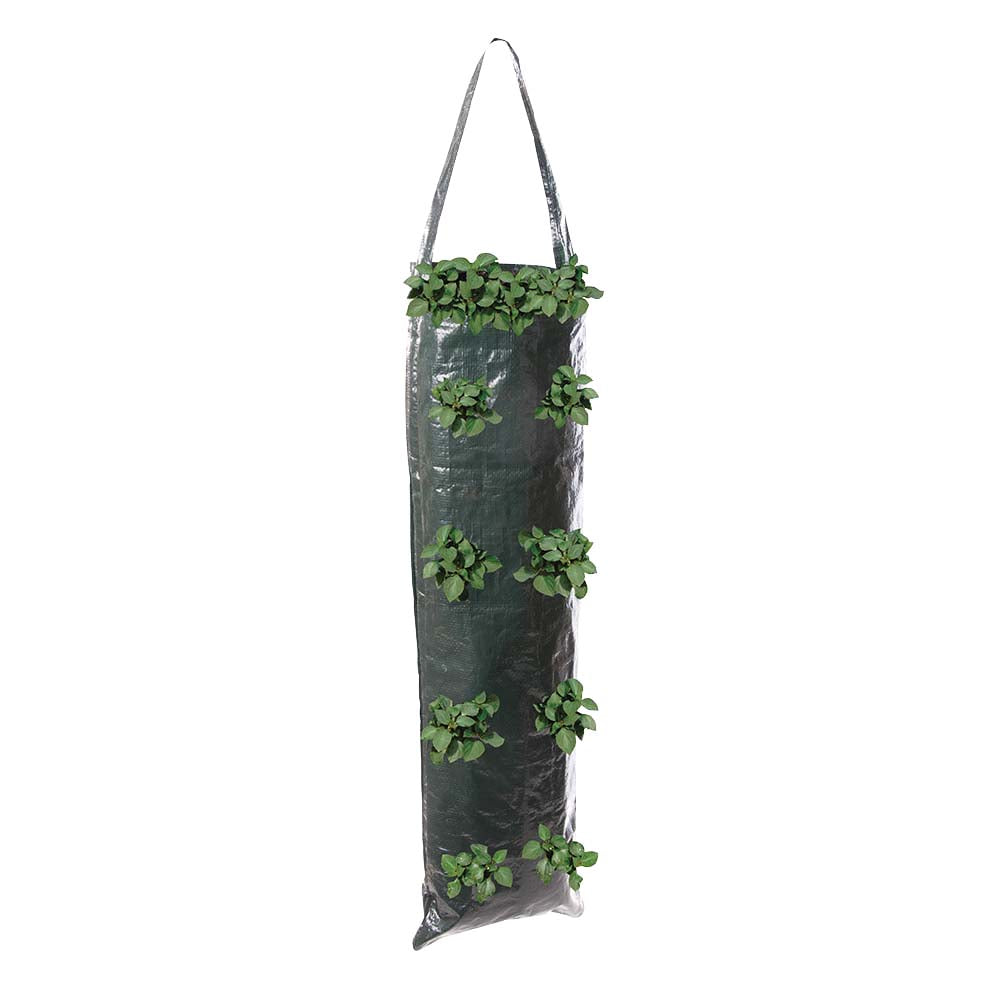 Plant Hanging Grow Tube for the garden