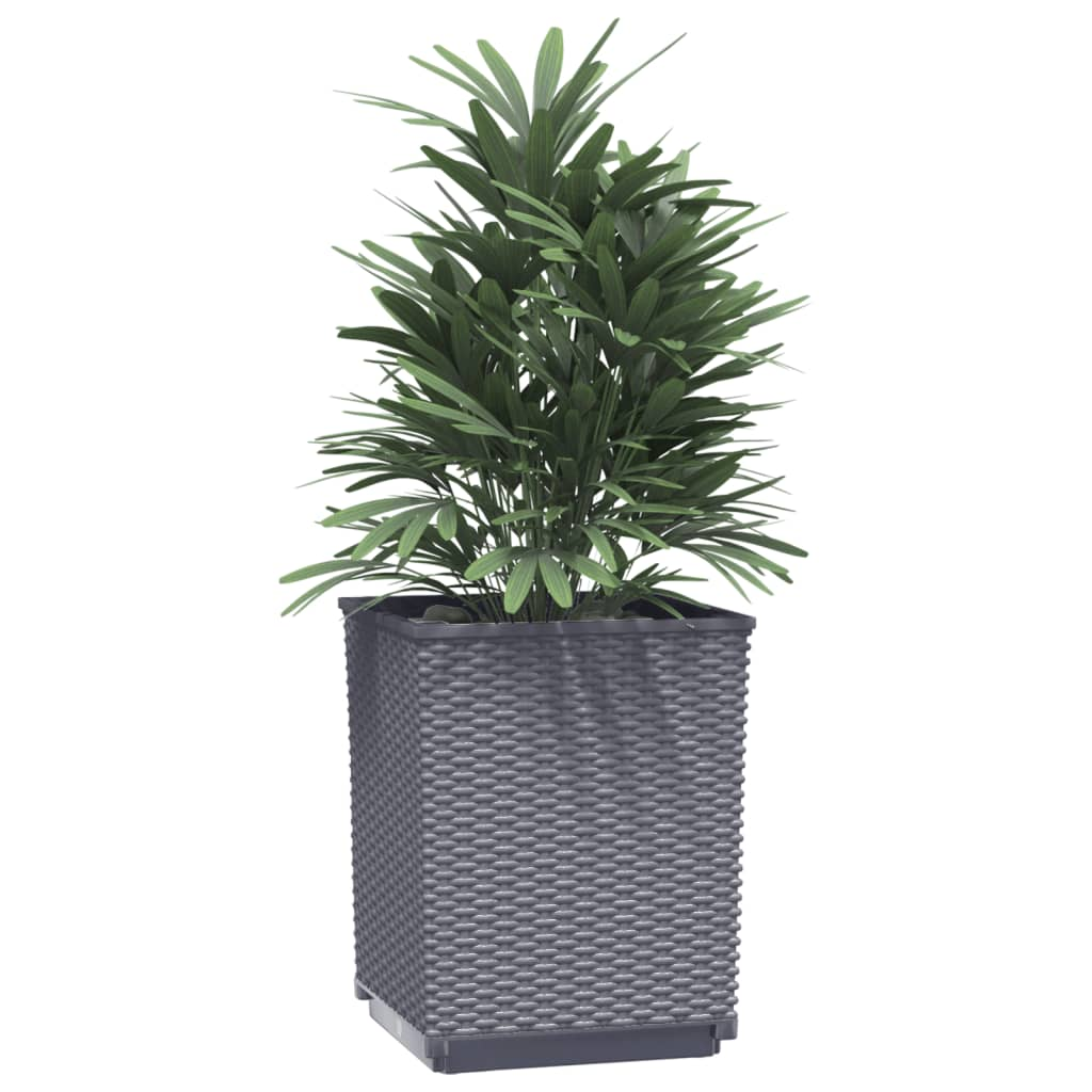 Set of 2 Dark Grey Planters | Jscapes Home and Garden