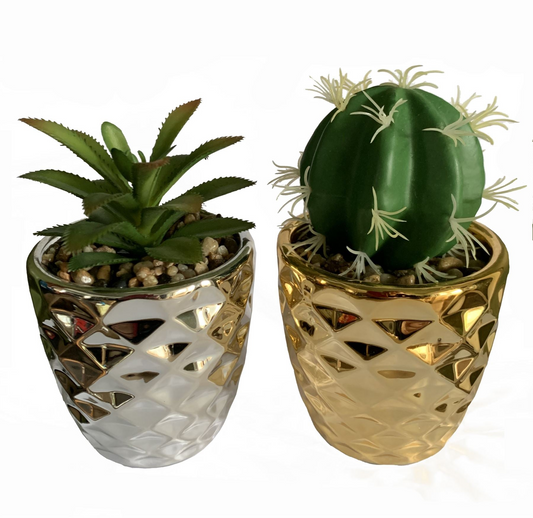 Set of 2 Artificial Cactus Dracaena with Planters | Jscapes