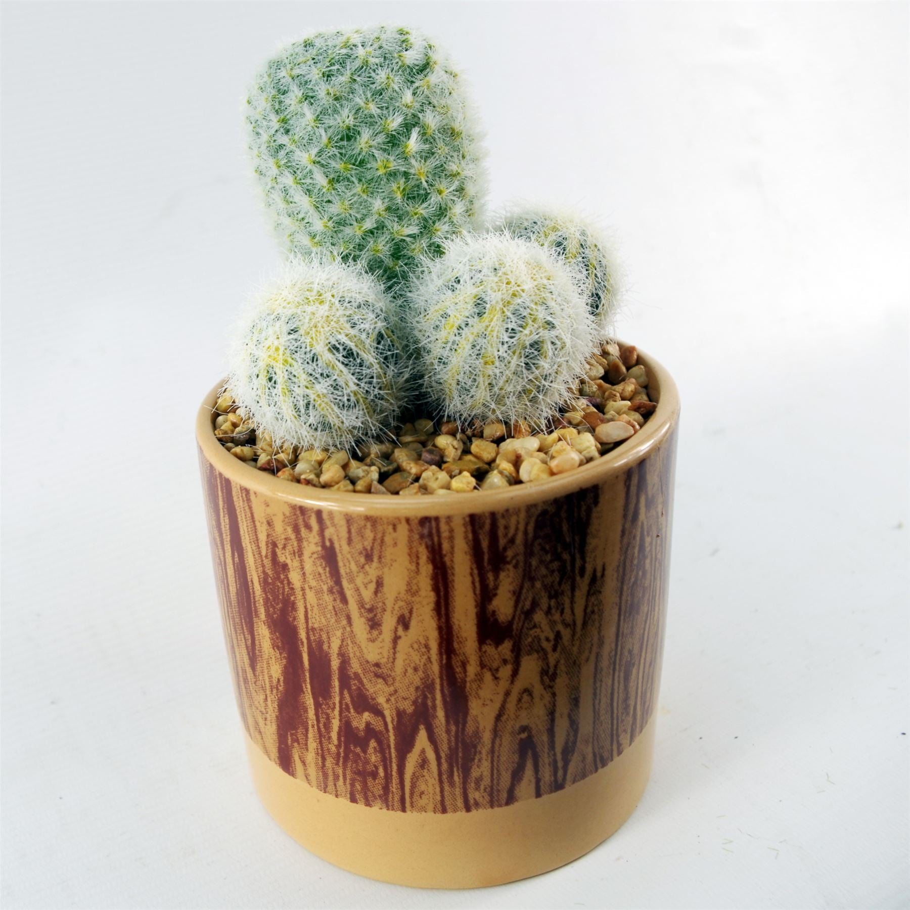 Artificial Cactus Plant in Ceramic Planter