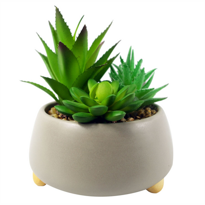 Artificial Three Succulent Plant and Ceramic Planter