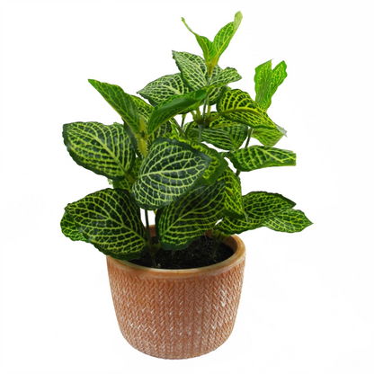 Jscapes Home and Garden Artificial Plants