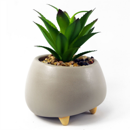 Artificial Succulent Plant in Ceramic Planter