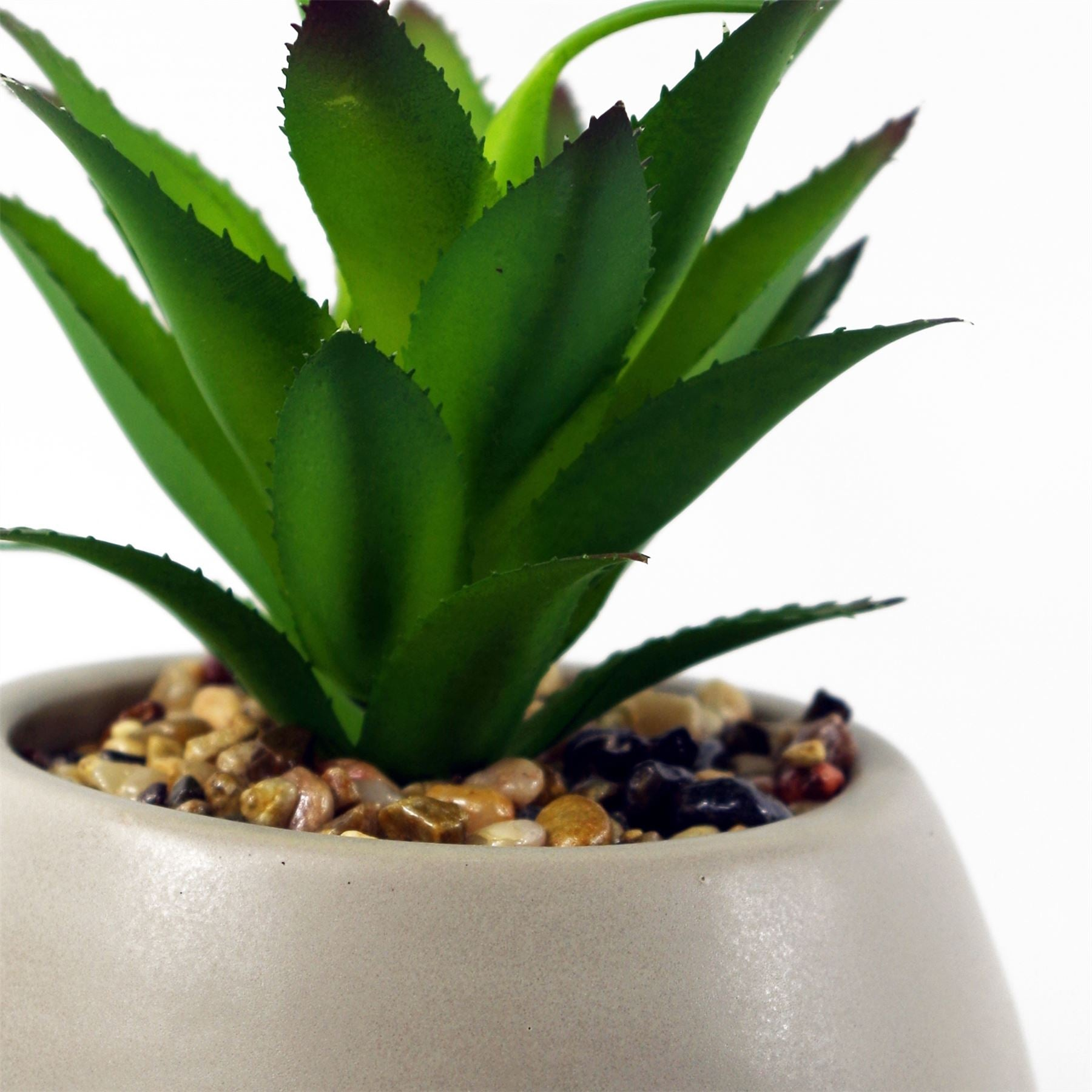 Artificial Succulent Plant in Ceramic Planter