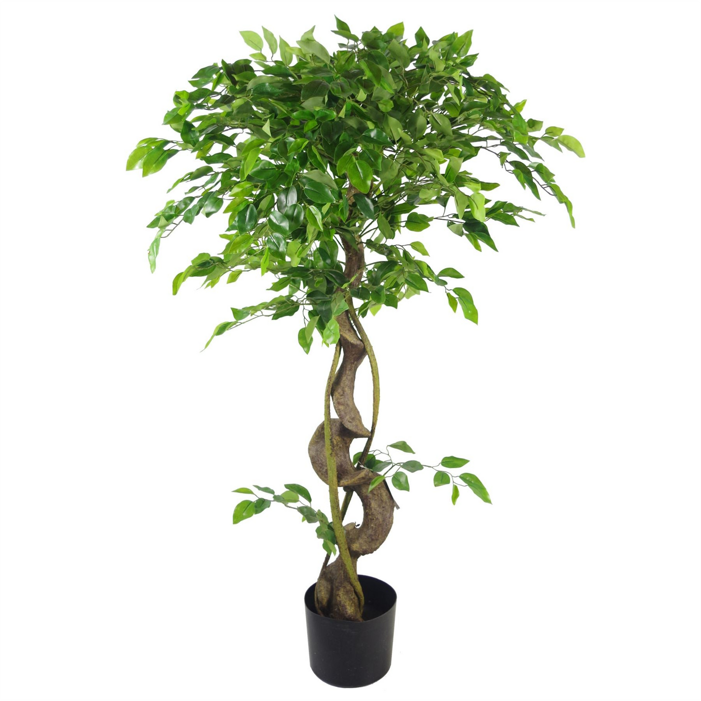 Jscapes Home and Garden Artificial Plants