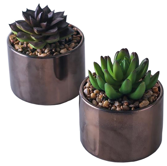 Set of 2 Artificial Succulent Plants With Planters | Jscapes 