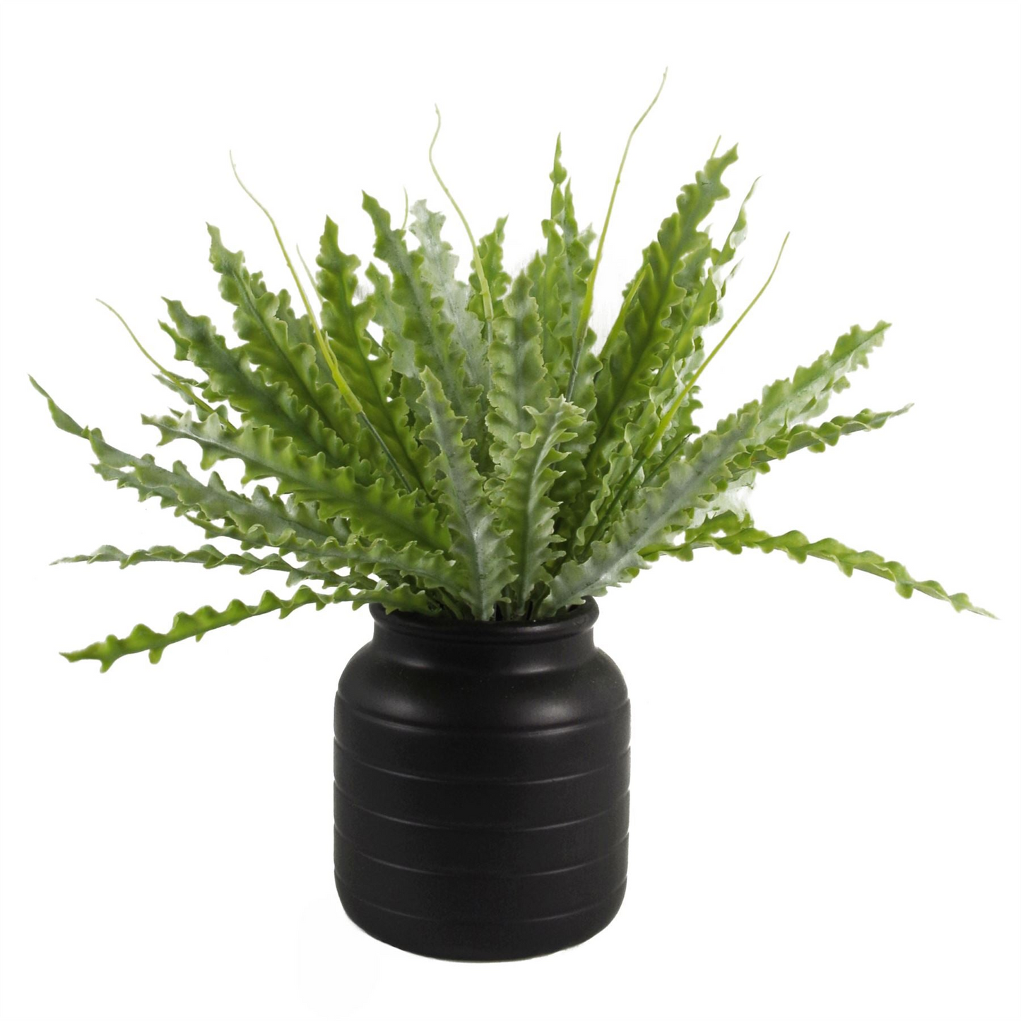 Jscapes home and garden vase