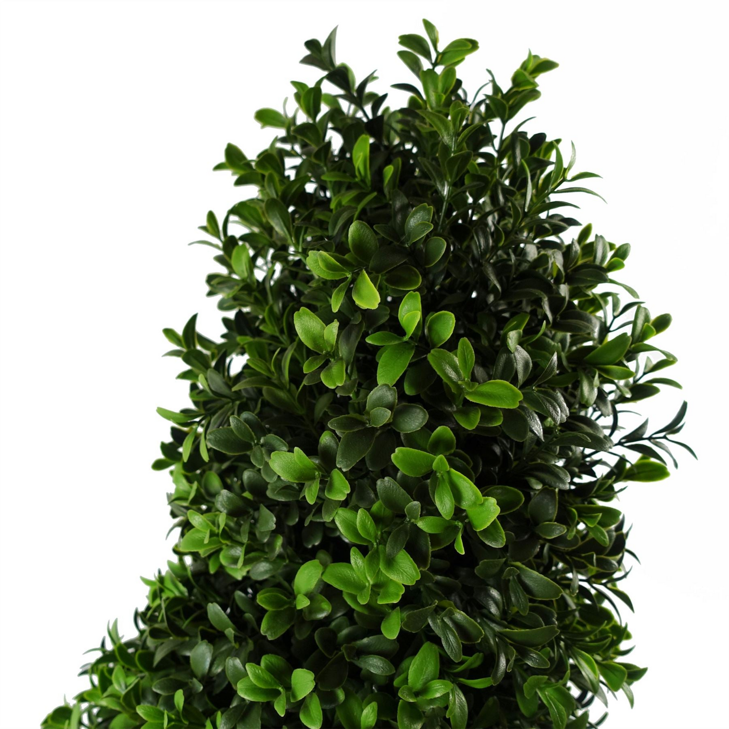 Spiral Buxus Artificial Tree | Jscapes Home and Garden