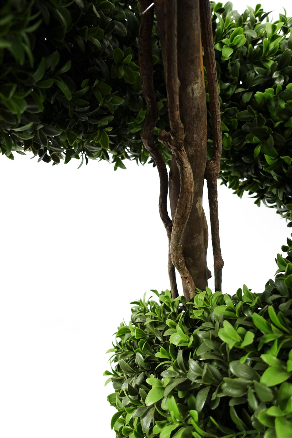 Spiral Buxus Artificial Tree | Jscapes Home and Garden