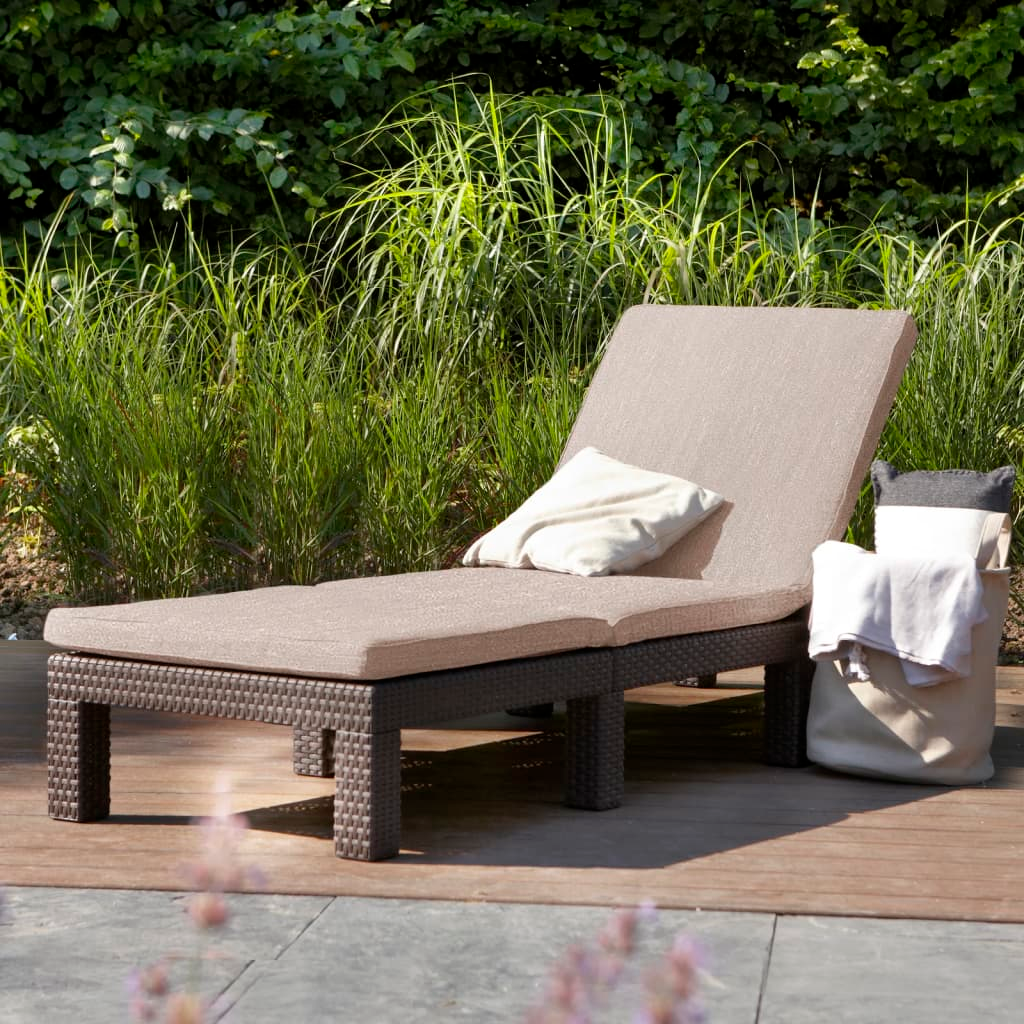 Keter Sunlounger with Cushion| Jscapes Home and Garden