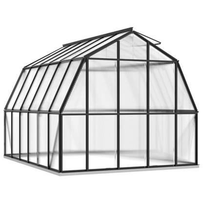 Greenhouse with Base Frame 9.53 m²