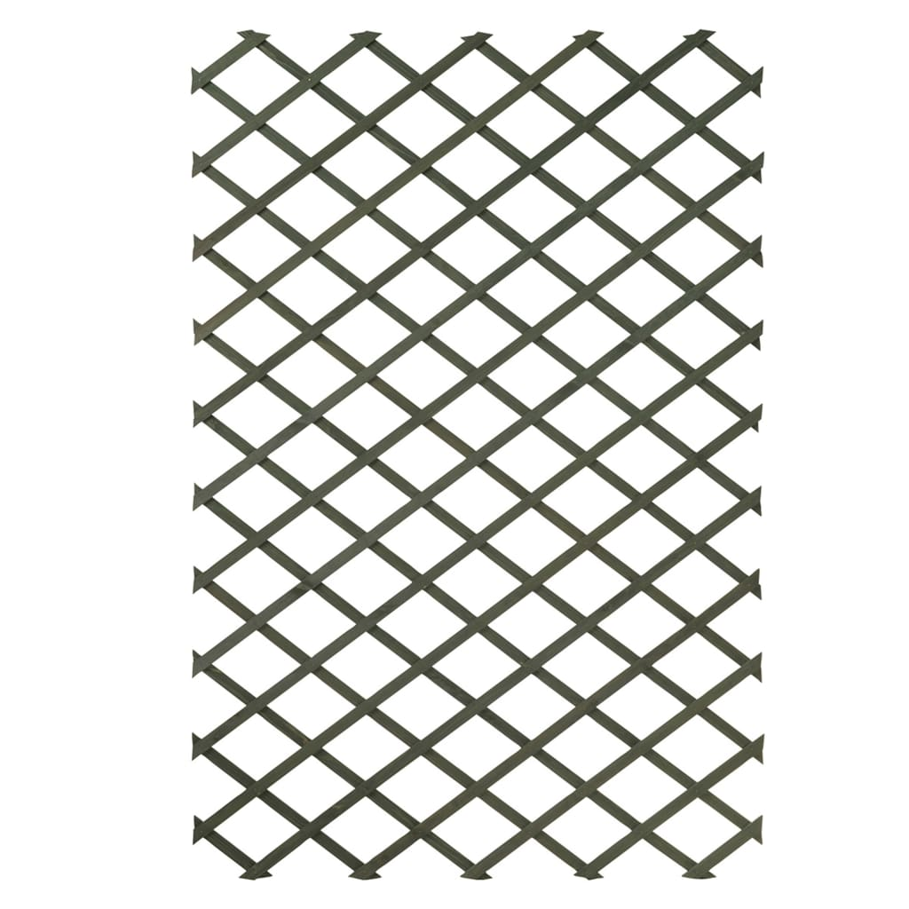 Set of 2 Garden Trellises