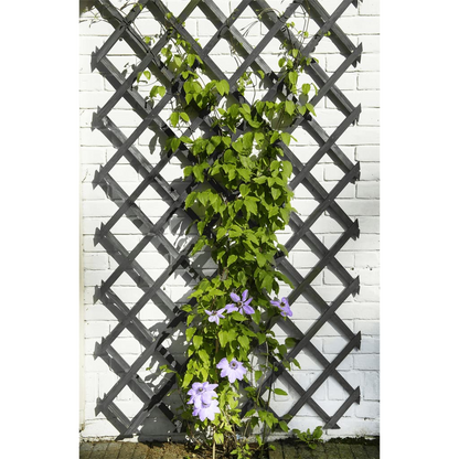 Wooden Garden Trellis