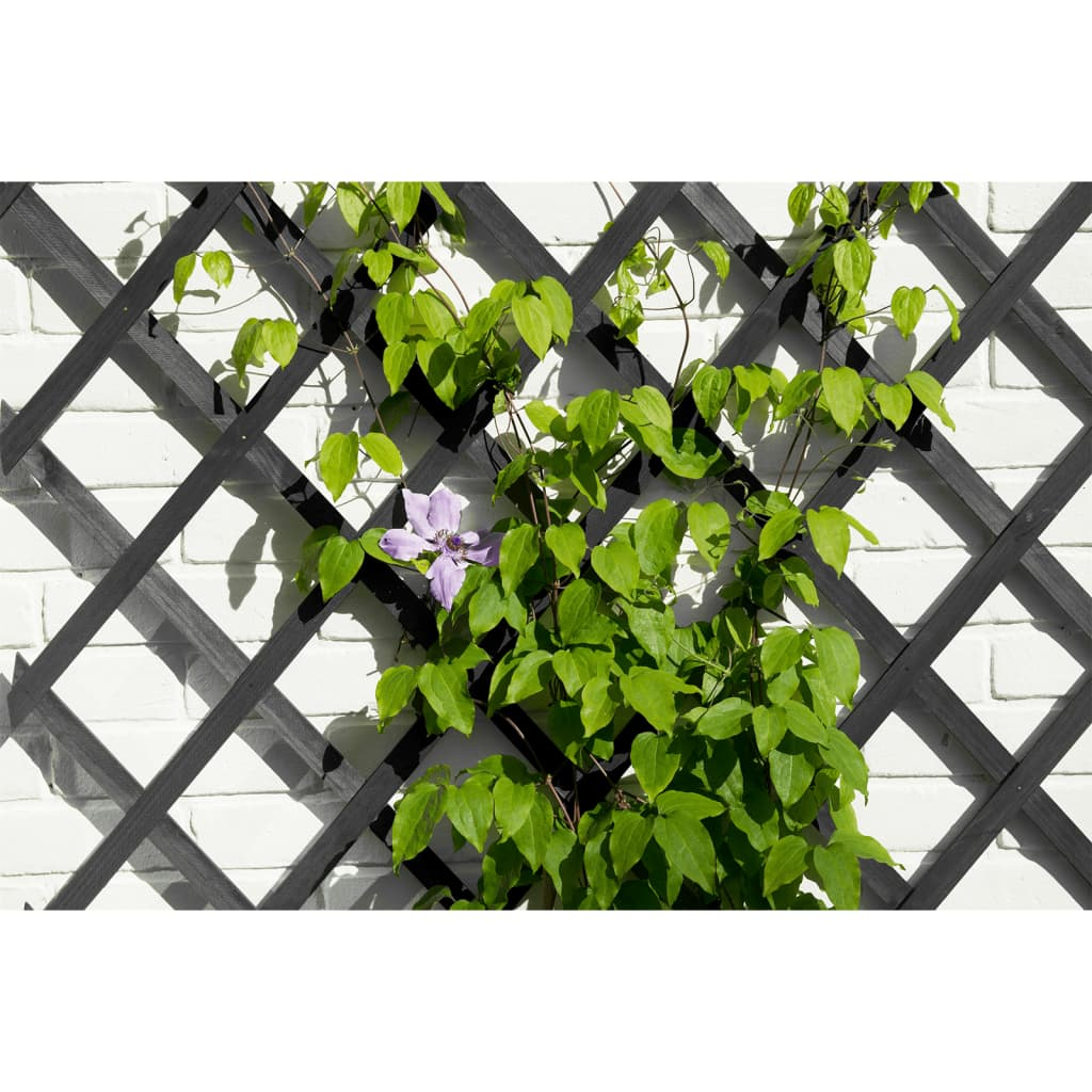 Wooden Garden Trellis