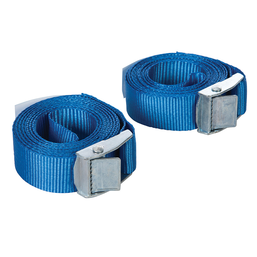 Cam Buckle Tie Down Strap for the garden