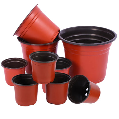 Mini Plastic Flower Pots with Holes | Jscapes Garden Centre