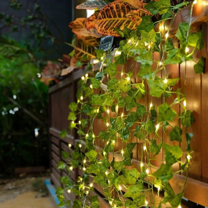 LED Solar Fairy Lights