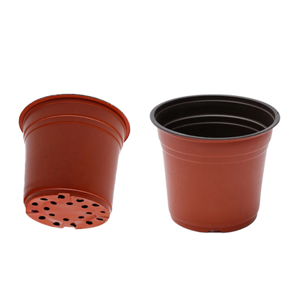 Mini Plastic Flower Pots with Holes | Jscapes Garden Centre