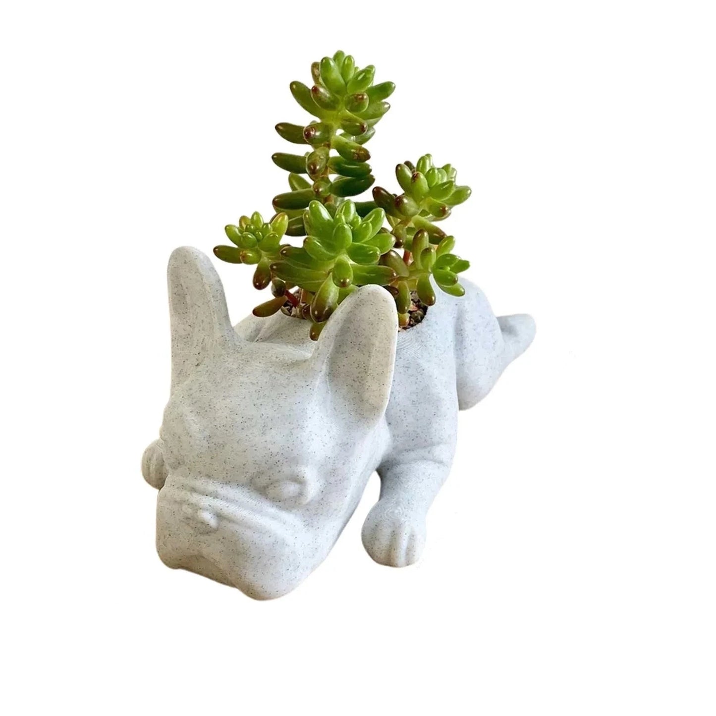 Bulldog Resin Planter | Jscapes Home and Garden | Planters