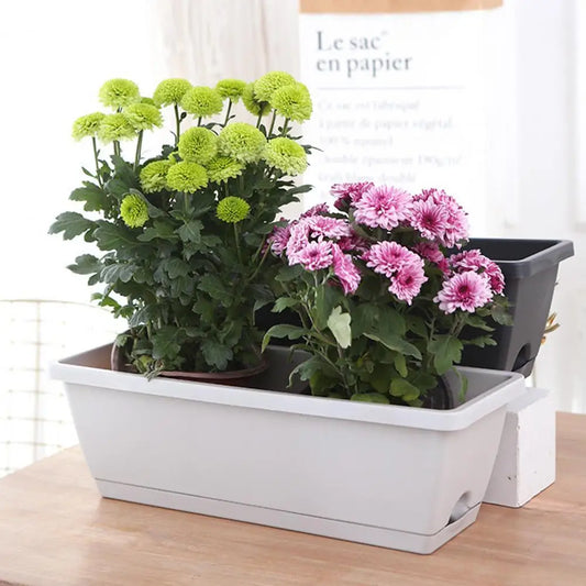 Plastic Flower Pots