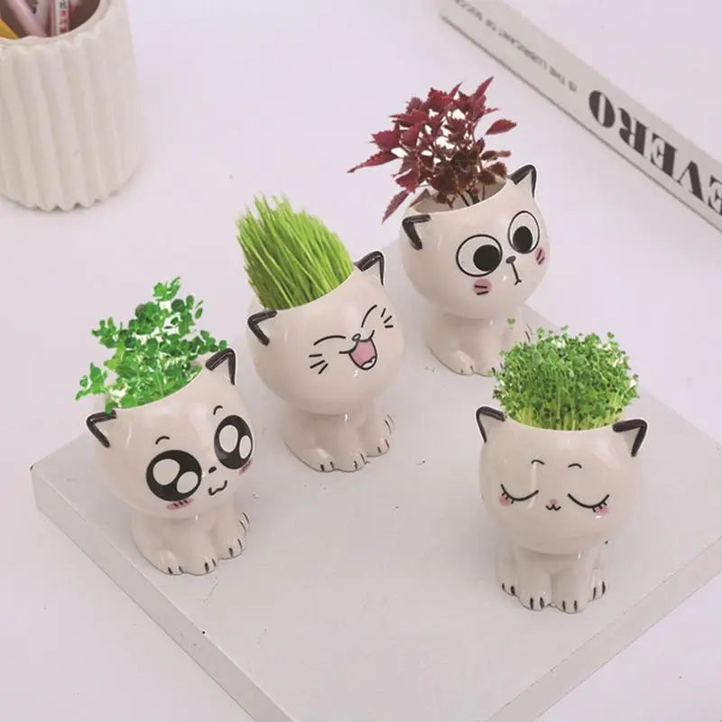 Cute Cat Succulent Plant Pots | Jscapes Home and Garden