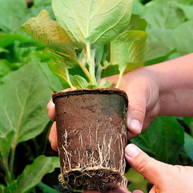 Garden Paper Grow Pot