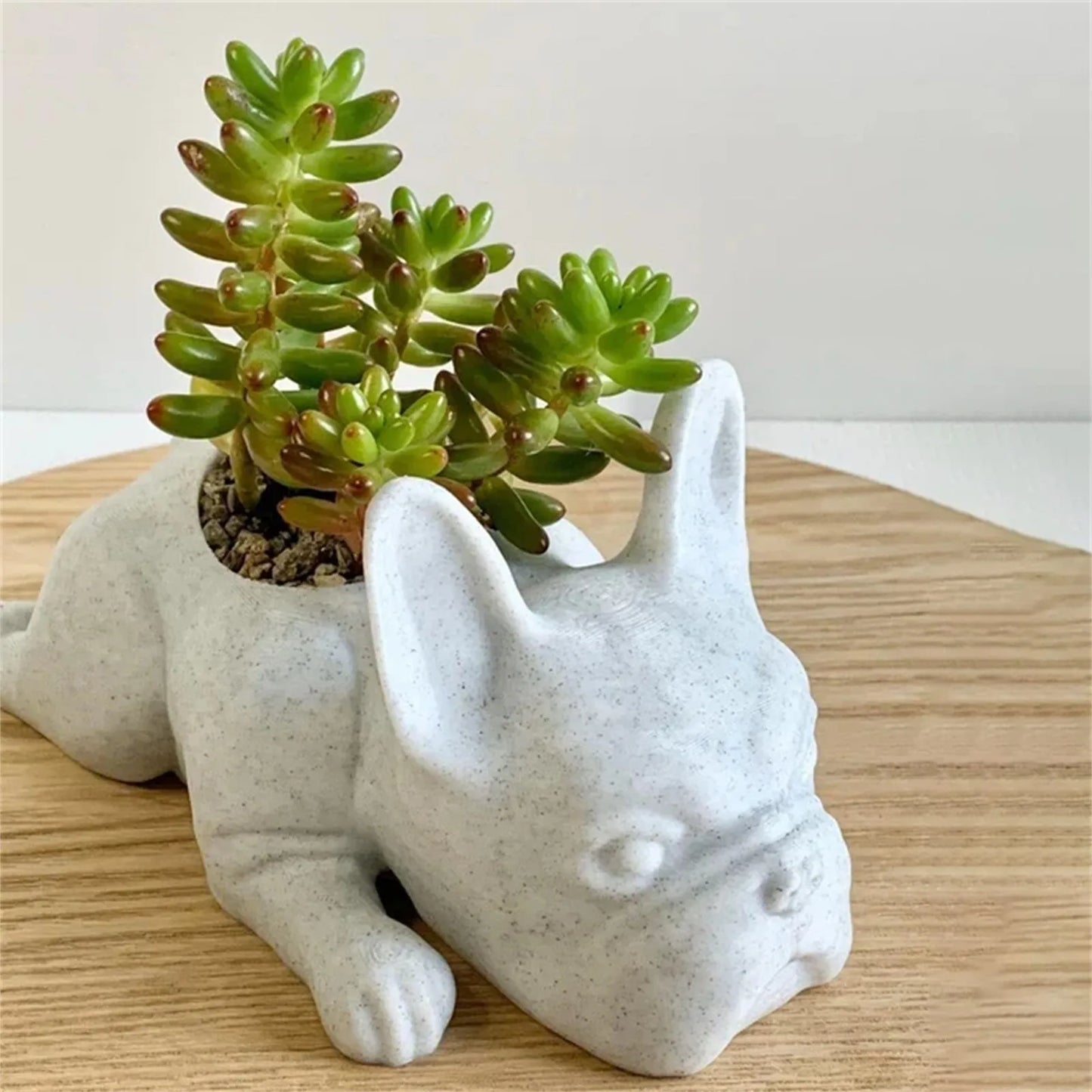 Bulldog Resin Planter | Jscapes Home and Garden | Planters